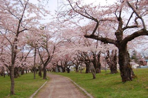 青葉丘公園