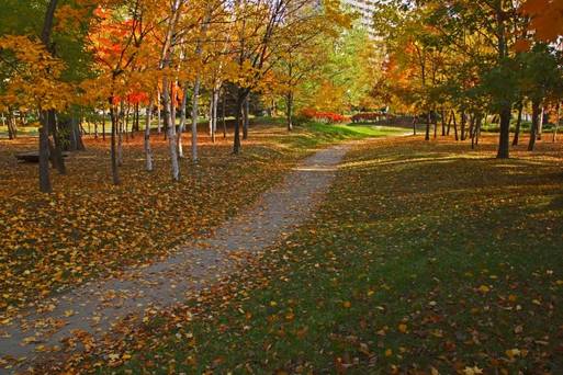 札幌中島公園
