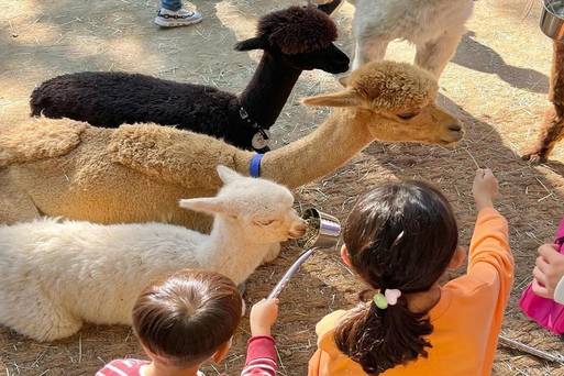 大邱E WORLD樂園