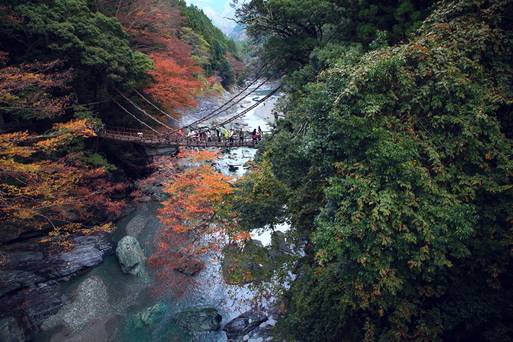 祖谷葛藤橋