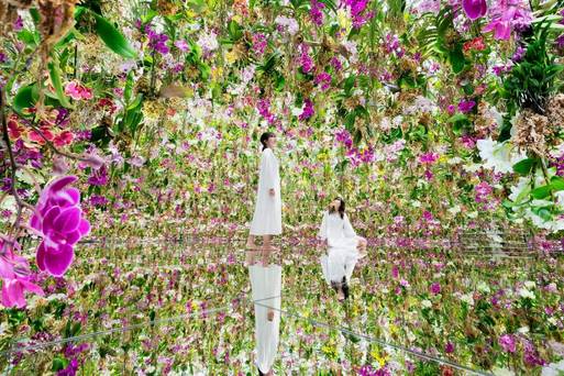 teamLab Planets TOKYO DMM