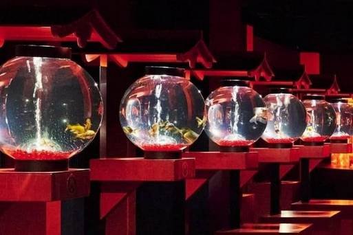 銀座金魚藝術水族館