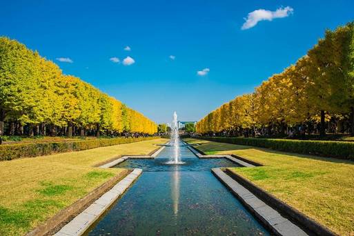 昭和紀念公園