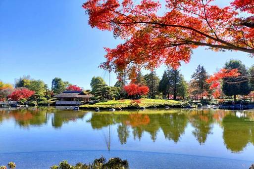 昭和紀念公園