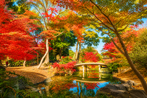 六義園