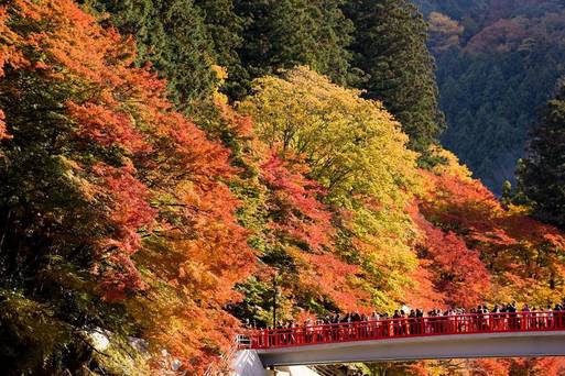 香嵐溪紅葉