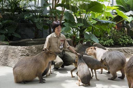 神戶動物王國