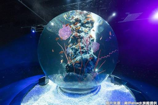 神戶átoa水族館