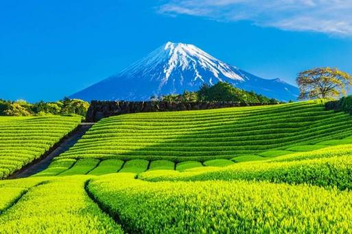 阪急包團