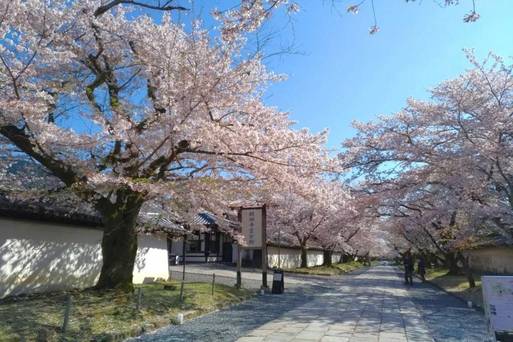 醍醐寺