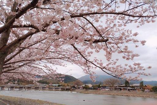 嵐山渡月橋
