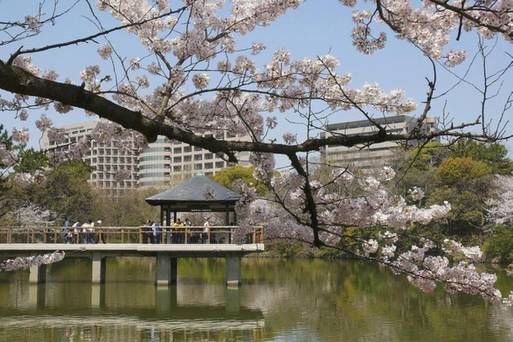 鶴舞公園