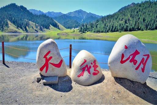 烏魯木齊 天鵝湖保護區