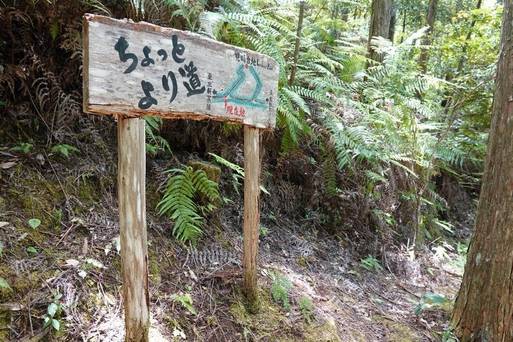 熊野古道