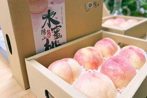 無錫陽山-水蜜桃-丹青提供