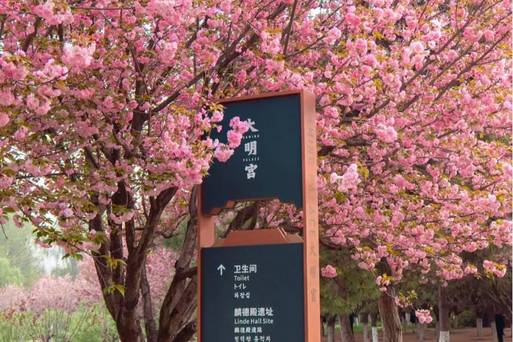 XIY景點-大明宮國家遺址公園-春天