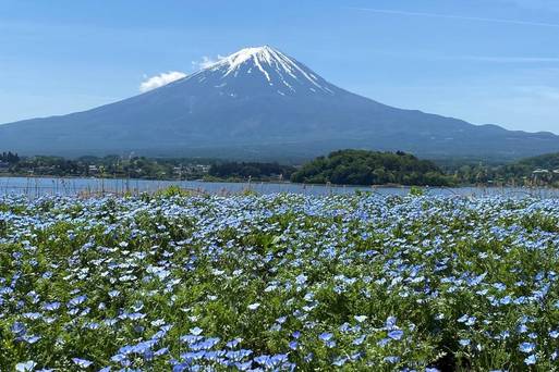 (請勿使用)展望富士山～河口湖大石公園