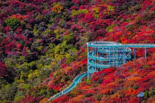 山東文旅·紅葉柿岩旅遊區