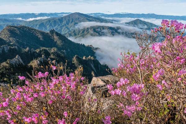 【迷戀雪嶽山】正東津海洋列車、山湖水纜車、清水堂網美咖啡、韓服體驗5日(一站彩妝)