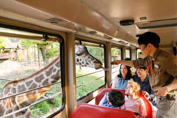 【二晚市區】歡樂愛寶樂園&野生動物園、跑跑卡丁車、小威尼斯、明洞5日(BR170)