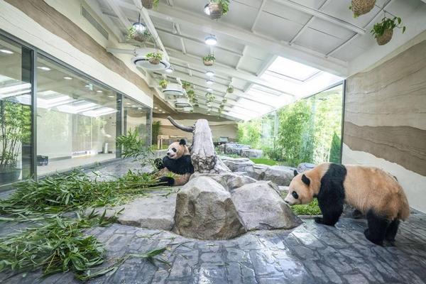 【二晚市區】歡樂愛寶樂園&野生動物園、跑跑卡丁車、小威尼斯、明洞5日(一站彩妝) BR170