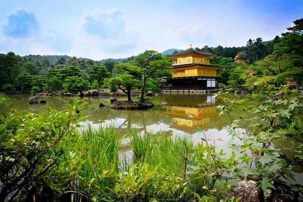 【活力三都】大阪環球、奈良東大寺、京都嵐山、金閣寺、清水寺五日