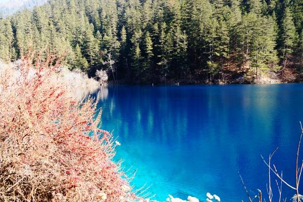 【九寨水一下】九寨溝黃龍、大熊貓基地、船遊樂山大佛、網紅火鍋、悅椿8日