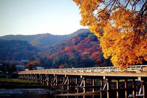 【楓采迷人】姬路.箕面.勝尾寺.天橋立.伊根灣.美山町.嵐山大阪5天