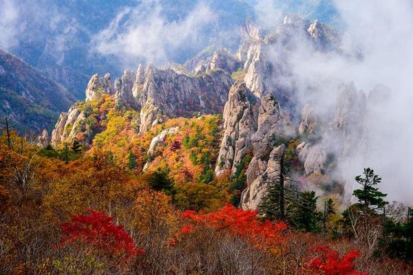 【雪花飛舞雪嶽山】鐵道自行車、南怡島、變妝遊北村、明洞逛街、汗蒸幕5日