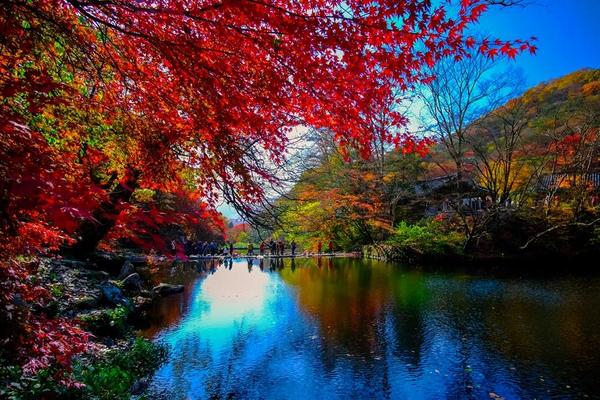 【楓紅內藏山】二晚五星、濕地風車紫芒花、韓服遊韓屋、網美金字塔咖啡5日(一站彩妝)