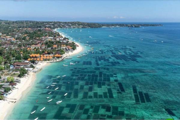 【華航】藍夢島 VILLA跳島峇里島5日-貝尼達島東西岸經典之旅