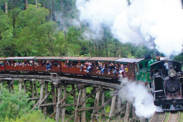 【花漾東澳】三城夜遊、邂逅神仙企鵝、藍山雙纜車、海洋世界、異國美食9日