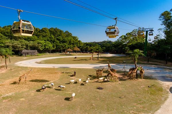 【樂活遊大灣】暢玩長隆雙樂園、船遊逢簡水鄉。慢遊明清雙園五日