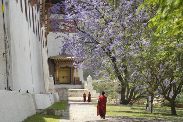 【探索不丹】高僧加持祝福、不丹國家博物館、富比華山谷、火焰聖湖十三日