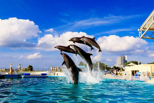 【悠遊沖繩】海洋博水族館、玉泉洞大鼓秀、古宇利塔、贈單軌電車券四日遊