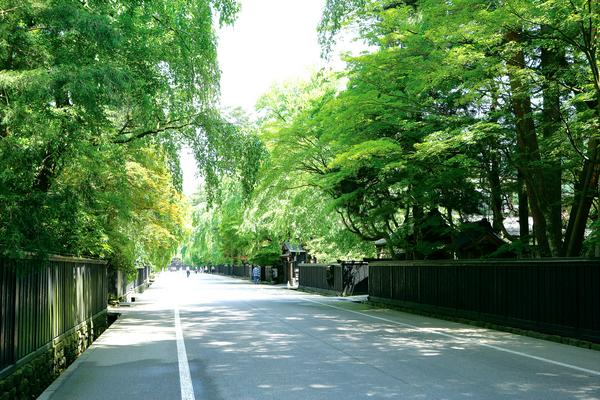 【限時限量東北】香濃小岩井、清流奧入瀨、小京都角館、舟遊猊鼻溪東北5日