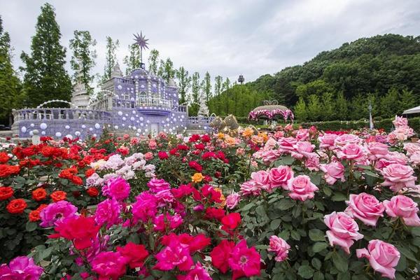 【繽紛韓國】升等明洞、愛寶四季精靈、星光庭院、變裝遊古宮、現代百貨5日(不進人蔘、保肝)