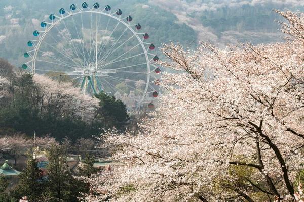 【繽紛韓國】升等明洞、愛寶樂園、戀歌南怡島、變裝遊古宮、現代百貨5日(一站彩妝)