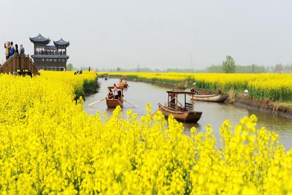 江南、周莊水鄉、千島垛田油菜花、宋城秀七天(無購物、無自費)