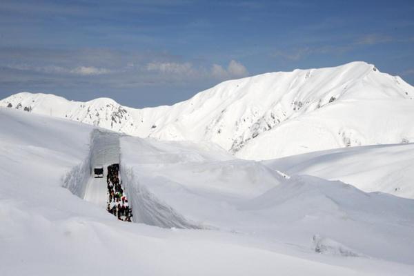 【限時限量名古屋】立山雪牆奇景、上高地河童橋、舞動昇龍道、雙溫泉5日