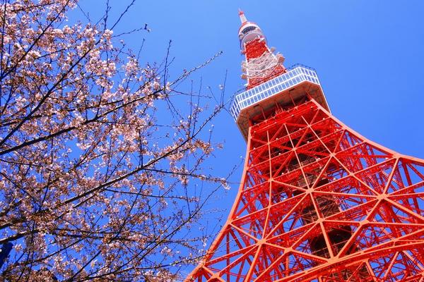 限時限量｜東京春櫻小旅行～百選賞櫻公園．目黑川櫻花隧道．敘敘苑燒肉5日(BR196+195)