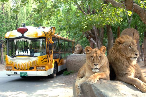 【獨家升等市區】愛寶野生動物園、特麗愛3D藝術、韓服遊北村、下午茶5日(不進保肝店)