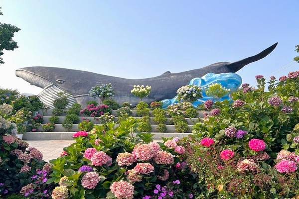 【初夏抗漲搶購】釜蔚邱繡球花季~海洋列車. 韓服體驗. 鋼鐵藝術村5日