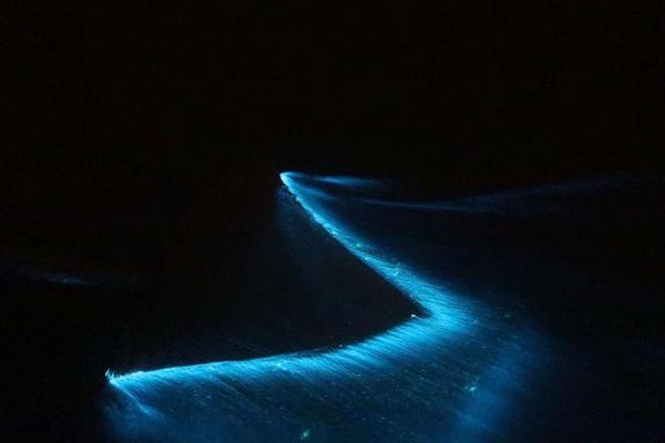 【不走乳膠】星光螢螢耀馬來~黃金棕櫚水上屋、夢幻螢火蟲、絕美藍眼淚、古城馬六甲六日