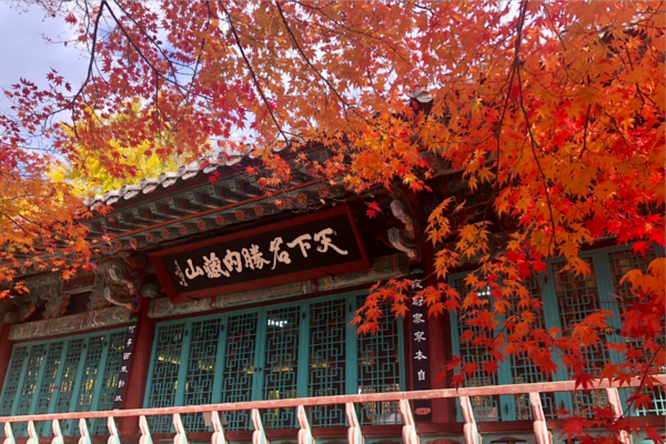 【楓迷內藏山】嶼海浪海上纜車、韓服遊韓屋、時尚聖水洞、海鮮燒烤美食5日 【不進人蔘保肝】CI162