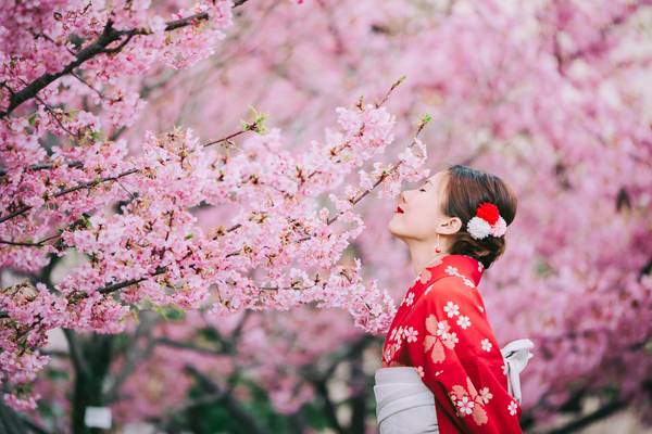 【花見精選四國】保住百選溫泉飯店．岡山後樂園．小豆島．大步危遊船五日