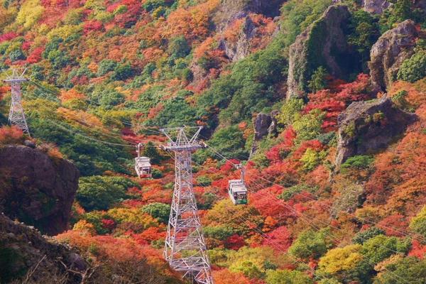 台中出發【經典四國高松】小豆島、雙纜車、大步危遊船、道後溫泉五日