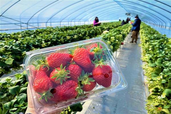 長榮過年促銷【莓好樂天】採草莓體驗、滑雪趣、樂天世界&樂天水族館、韓式大頭貼、海鮮燒烤吃到飽5日(不走保肝、二晚市區飯店)-長榮早班