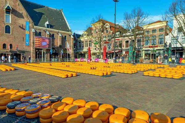 【花季】荷比法~庫肯霍夫、起司市集、鹿特丹、巴黎左岸、羅浮宮10日