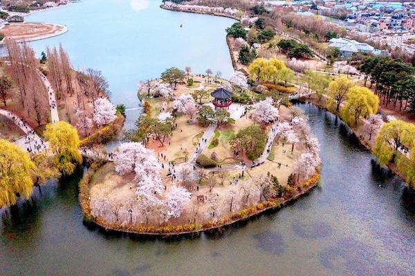 【首爾櫻花秘境】升等五星~愛寶樂園.最美櫻花隧道.一山湖水公園.跑跑卡丁車5日(不進人蔘保肝)